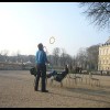 imagebam.com