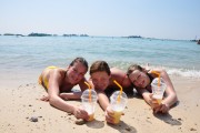 imagebam.com