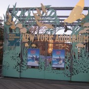 Forum Image: http://thumbnails35.imagebam.com/12629/be2e52126289035.jpg