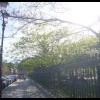 imagebam.com
