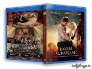 imagebam.com