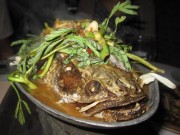 imagebam.com